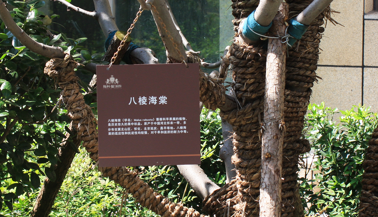 江心洲(图15)
